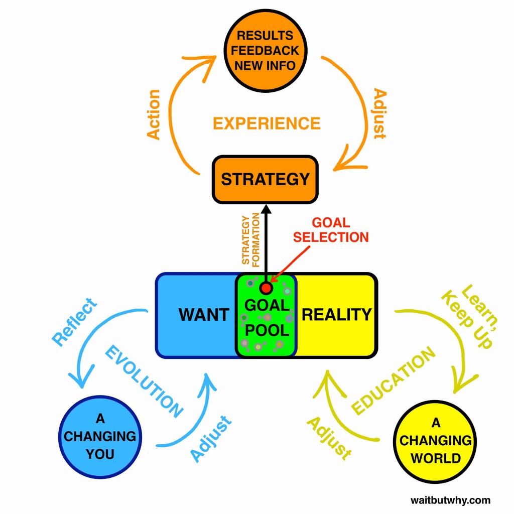 Software-Reality-Loop